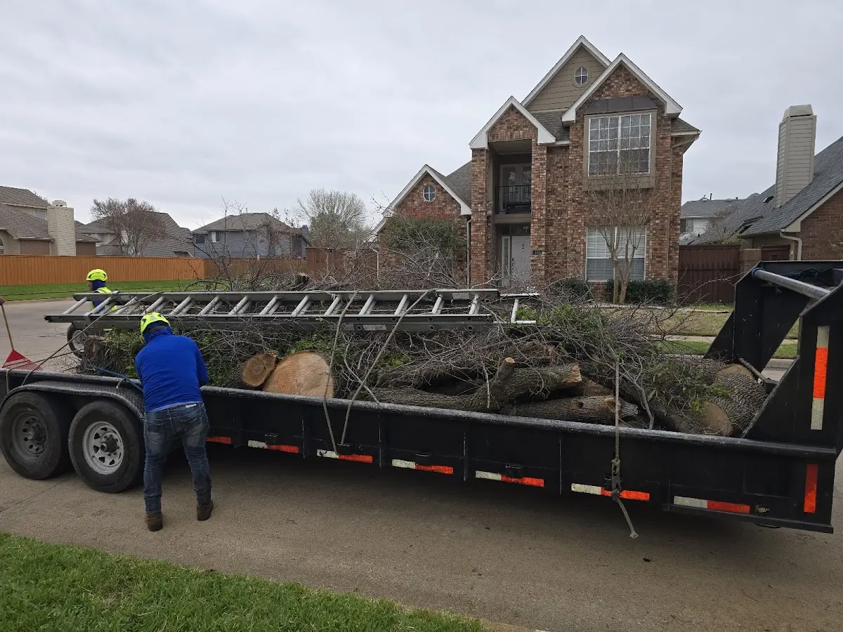 Expert Tree Fertilization with proper safety equipment in Chamberlain